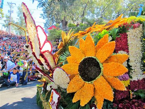 Panagbenga Festival: Philippines' 'Flower Festival' and the Burst .